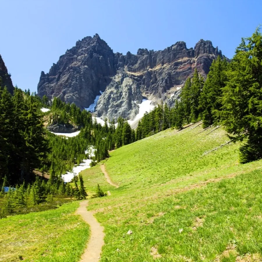 A footpath winding up an alpine meadow toward a steep, rugged mountain summit.